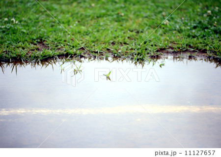 雨上がり 11127657