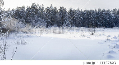 Snow-covered river Snow-covered river 11127803