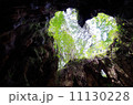 ウィルソン株 11130228