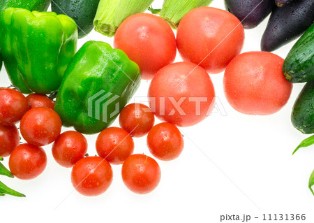 夏野菜の集合 夏野菜の集合 11131366