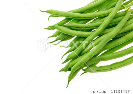 インゲン 11131417