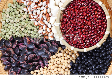 豆の集合 11131429