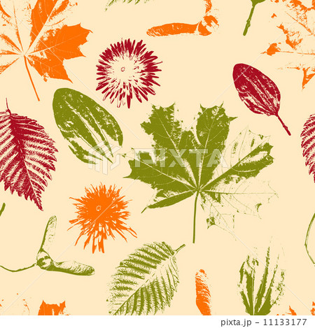 Vector Seamless Floral Pattern 11133177