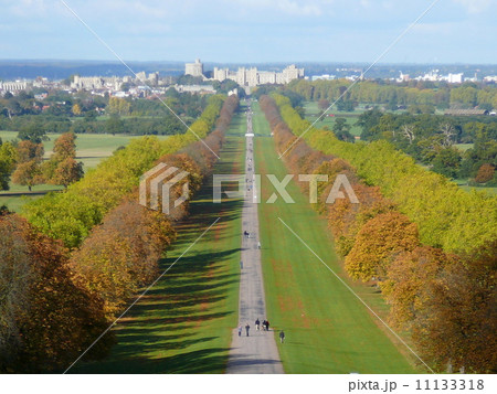 イギリス、ロングウォークからのウィンザー城 11133318