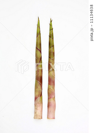 根曲がり筍 11134638