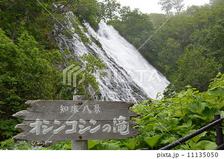 オシンコシンの滝 11135050