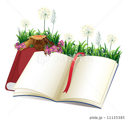 An empty storybook 11135385