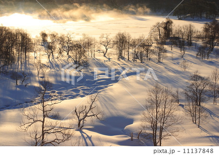 冬の裏磐梯小野川湖の夜明け 11137848