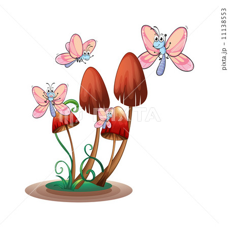 Butterflies surrounding the plants 11138553