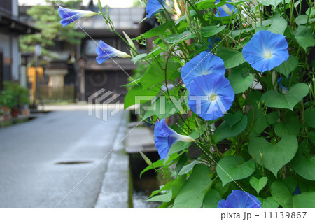 夏の古い街並み 11139867