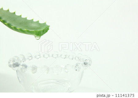 アロエ アロエ 11141375