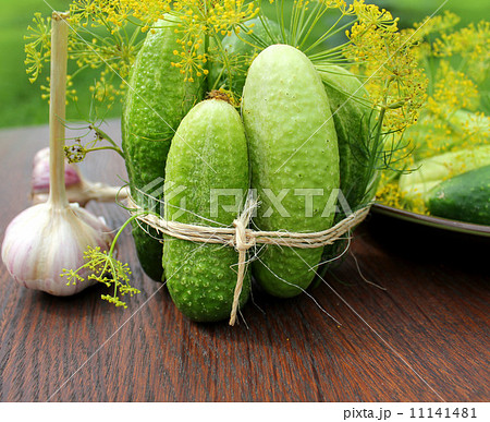 preparing cucumbers for pickling  11141481