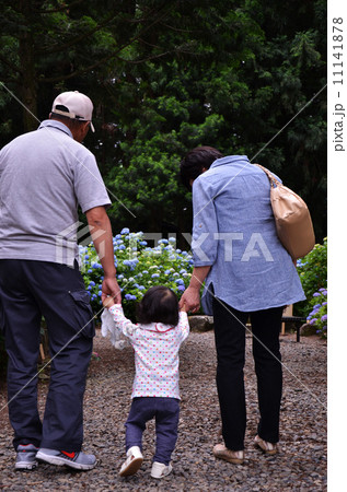 手をつないで散歩する家族の後ろ姿 11141878