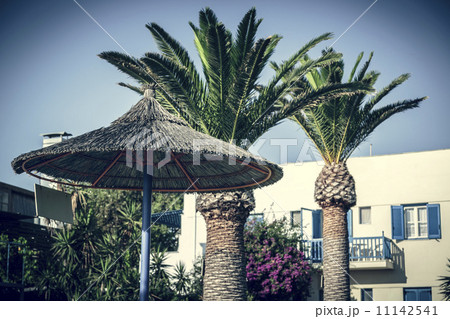 straw parasol with two palm trees and a greek house in backgroun 11142541