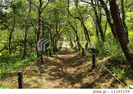 山道 11143159