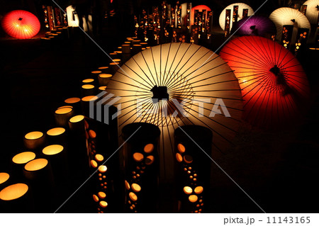 百華百彩 11143165