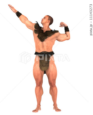 グラディエーター 11143273