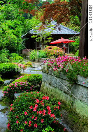 雨の海蔵寺 雨の海蔵寺 11143804