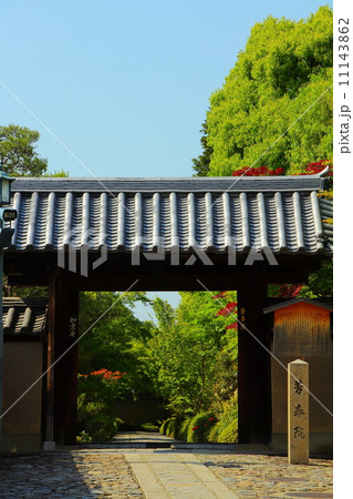 芳春院 11143862