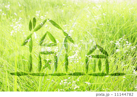 自然の中の住まい 11144782
