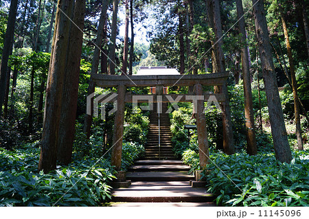 熊野神社 熊野神社 11145096