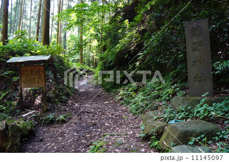 熊野神社 11145097
