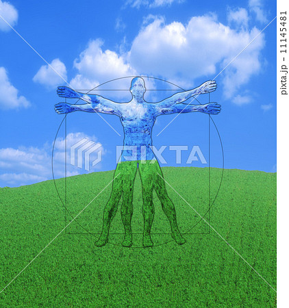 草原の人体のイメージ 11145481