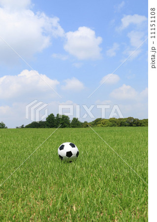 サッカーボール サッカーボール 11151108