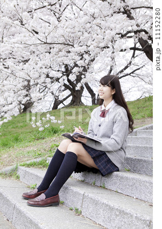 桜の木の下で勉強する女子高生 桜の木の下で勉強する女子高生 11152280