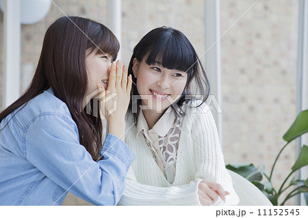 内緒話をする女性 11152545