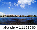青森の空と海とテトラポット 11152583
