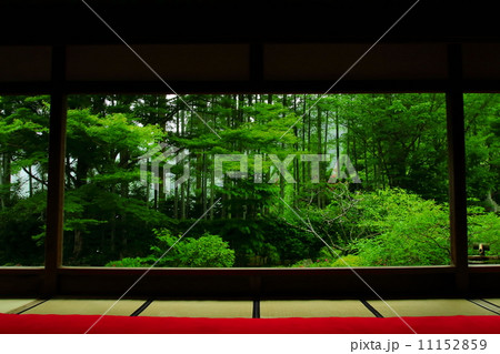 宝泉院の新緑 宝泉院の新緑 11152859