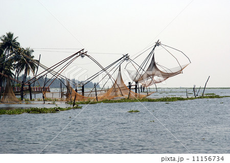 Chinese fishing nets. Vembanad Lake, Kerala, South India 11156734