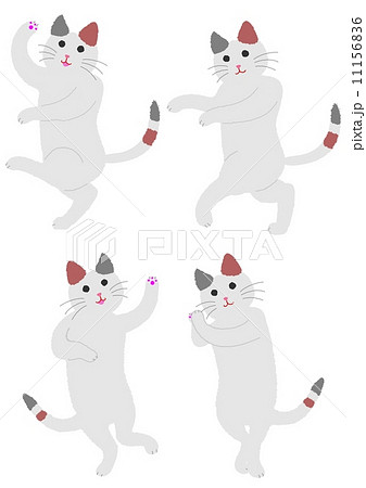 踊る三毛猫のイラスト素材