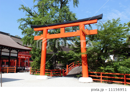 京都　下鴨神社　鳥居 11156951