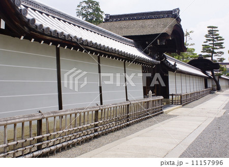 玉鳳院　 11157996