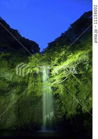 箕面大滝　ライトアップ 11158002