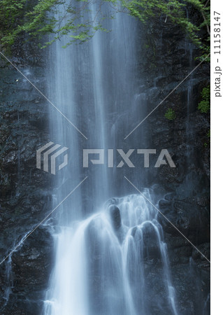 箕面大滝　清涼 11158147