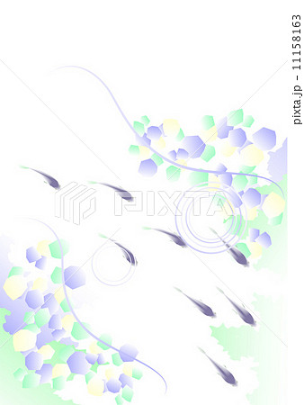 フィッシュ フィッシュ 11158163