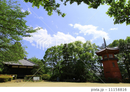 哲学堂公園 哲学堂公園 11158816