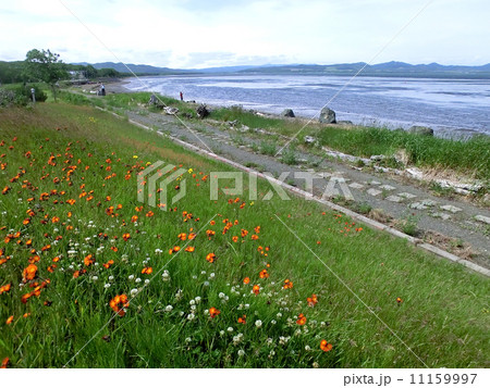 サロマ湖の栄浦浜(北海道北見市) サロマ湖の栄浦浜(北海道北見市) 11159997