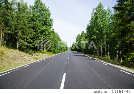 New asphalt and lines at a straight road in the forest New asphalt and lines at a straight road in the forest 11161446