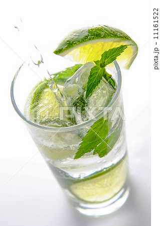 モヒート モヒート 11161522