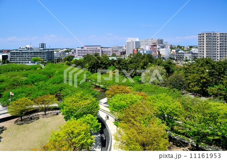 りゅーとぴあの新緑 11161953