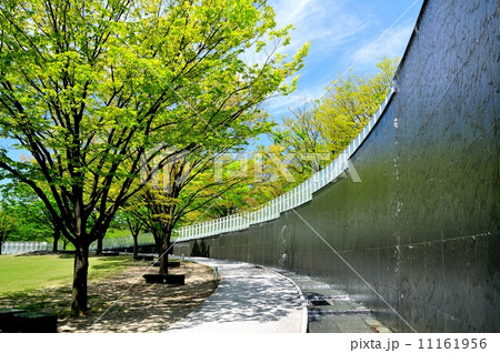 りゅーとぴあの新緑 11161956