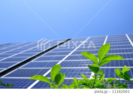 若葉とソーラーパネル 11162001