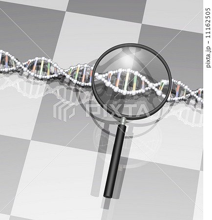 DNA遺伝子情報を調べる 11162505