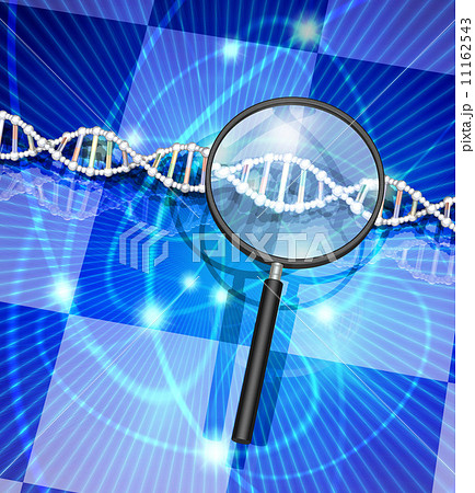 DNA遺伝子情報を調べる DNA遺伝子情報を調べる 11162543