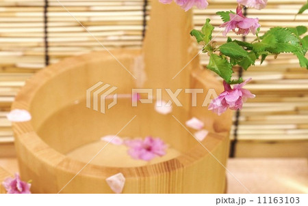 春の素材・湯殿に桜の枝と手桶の中にサクラの花びら・横位置 11163103