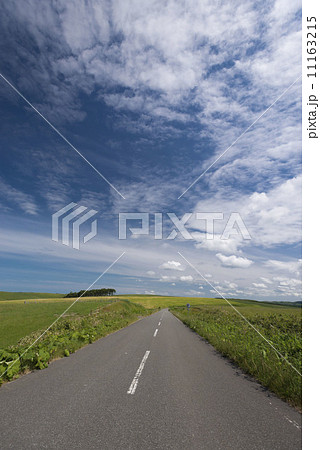 直線道路 11163215